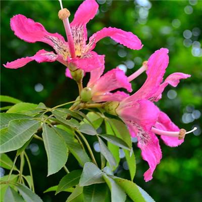 hthapp官网入口截图